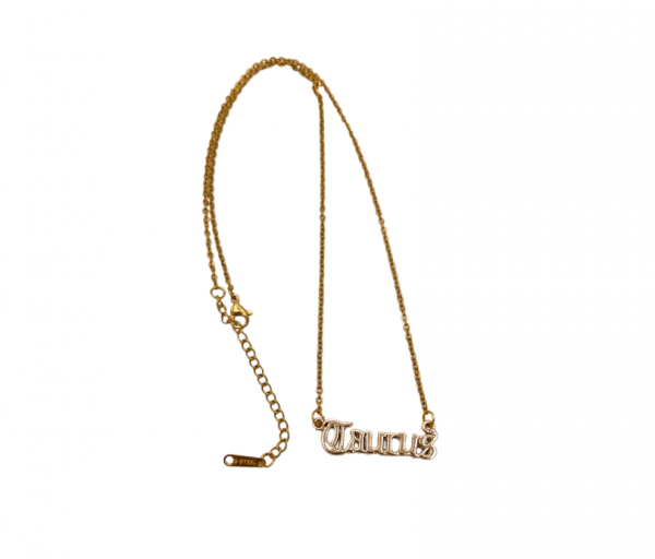 Taurus Jewellery Set | Necklaces, Bracelet & Earrings - Image 5
